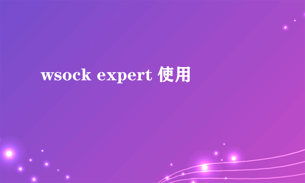 wsock expert 使用