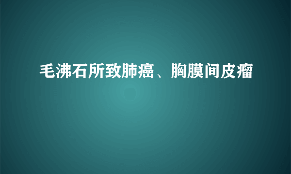 毛沸石所致肺癌、胸膜间皮瘤