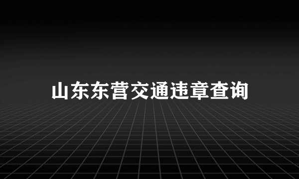 山东东营交通违章查询