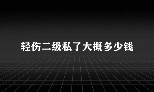 轻伤二级私了大概多少钱