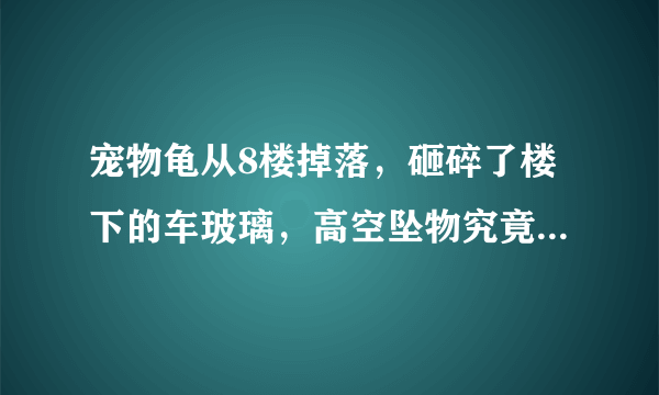 宠物龟从8楼掉落，砸碎了楼下的车玻璃，高空坠物究竟有多危险呢？