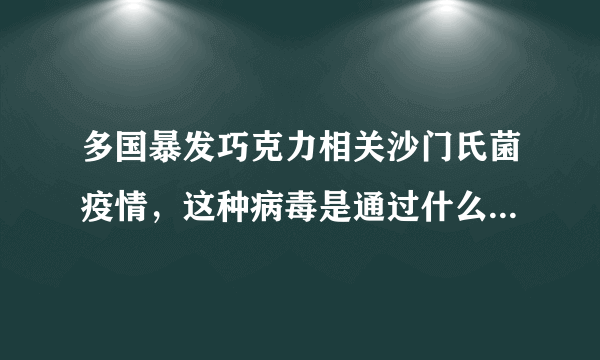 多国暴发巧克力相关沙门氏菌疫情，这种病毒是通过什么途径传播的？