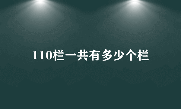 110栏一共有多少个栏