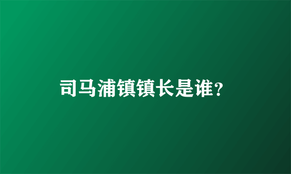 司马浦镇镇长是谁？