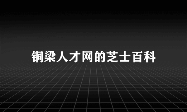 铜梁人才网的芝士百科