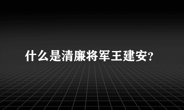 什么是清廉将军王建安？