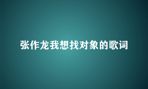 张作龙我想找对象的歌词