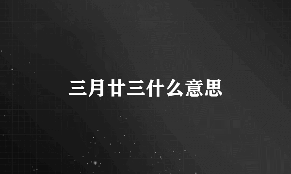 三月廿三什么意思