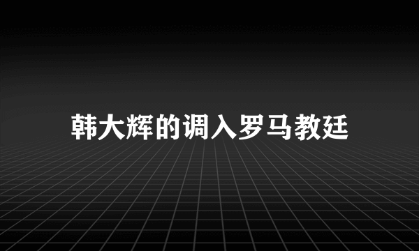 韩大辉的调入罗马教廷