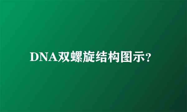 DNA双螺旋结构图示？