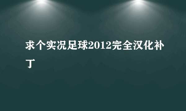 求个实况足球2012完全汉化补丁