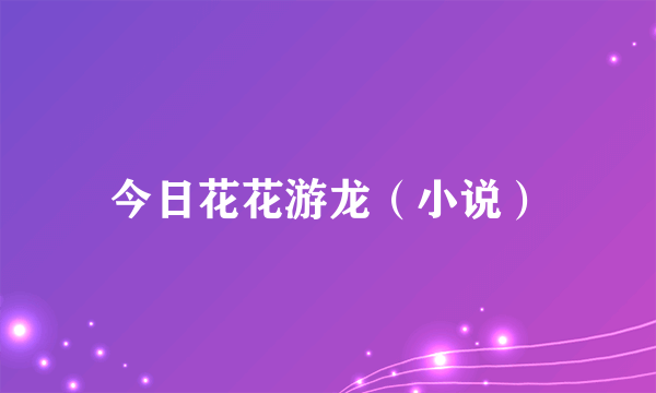 今日花花游龙（小说）