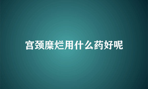 宫颈糜烂用什么药好呢