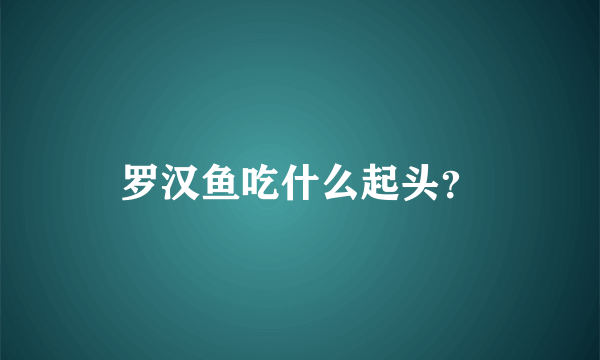 罗汉鱼吃什么起头？