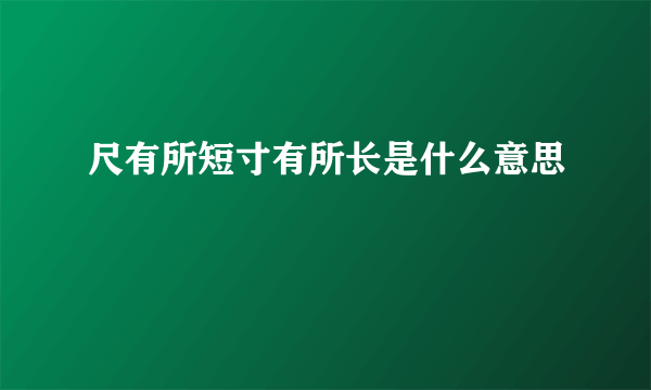 尺有所短寸有所长是什么意思