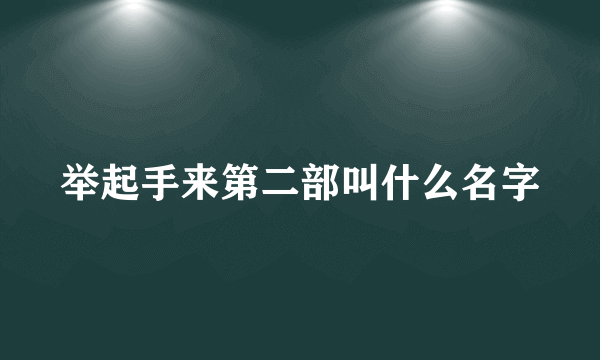 举起手来第二部叫什么名字