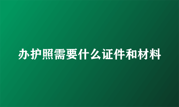 办护照需要什么证件和材料