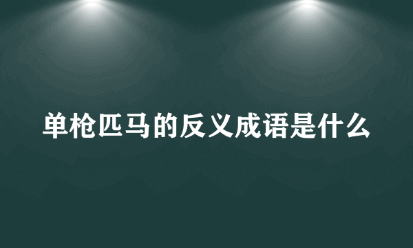 单枪匹马的反义成语是什么