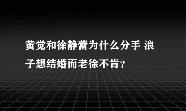 黄觉和徐静蕾为什么分手 浪子想结婚而老徐不肯？