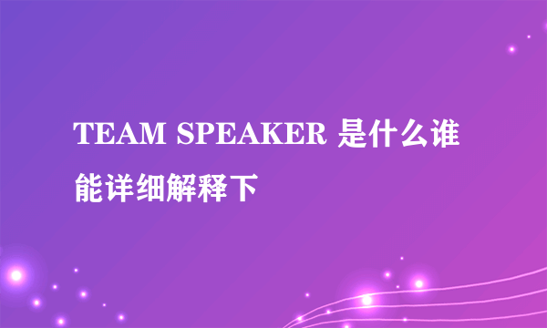 TEAM SPEAKER 是什么谁能详细解释下