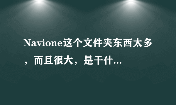 Navione这个文件夹东西太多，而且很大，是干什么用的？