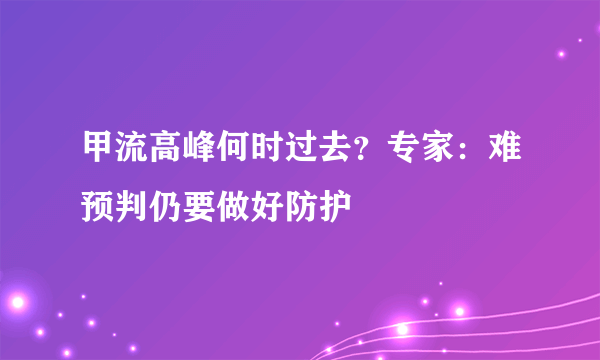 甲流高峰何时过去？专家：难预判仍要做好防护