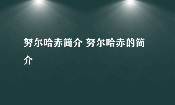 努尔哈赤简介 努尔哈赤的简介