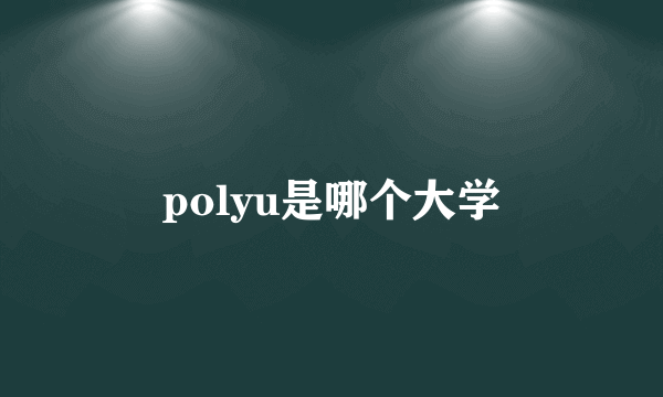 polyu是哪个大学