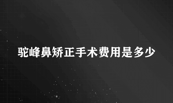 驼峰鼻矫正手术费用是多少