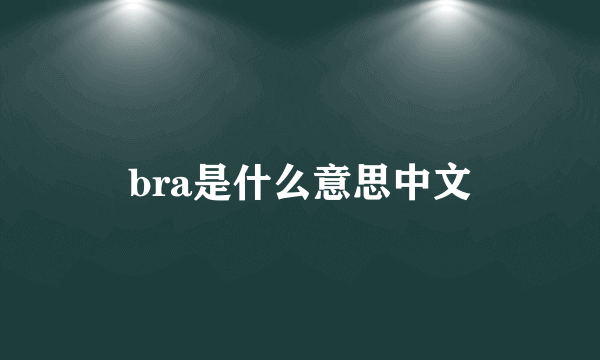 bra是什么意思中文