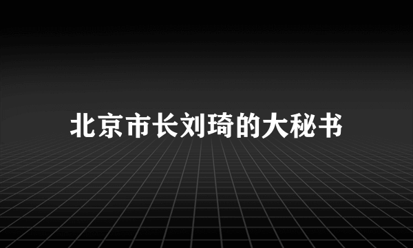 北京市长刘琦的大秘书