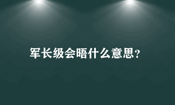 军长级会晤什么意思？