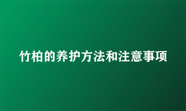 竹柏的养护方法和注意事项