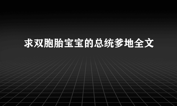 求双胞胎宝宝的总统爹地全文