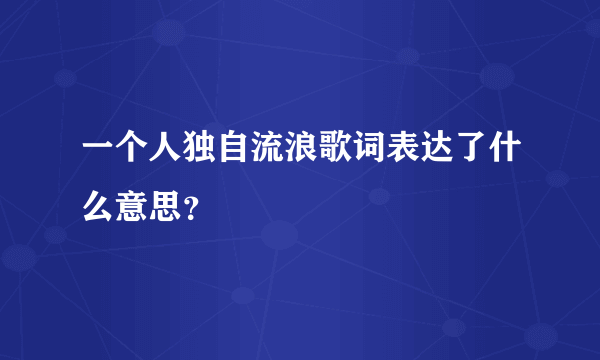 一个人独自流浪歌词表达了什么意思？