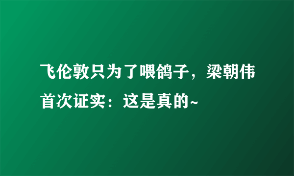 飞伦敦只为了喂鸽子，梁朝伟首次证实：这是真的~