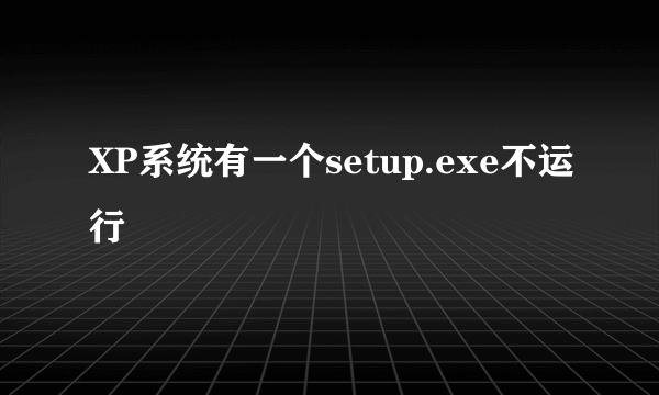 XP系统有一个setup.exe不运行