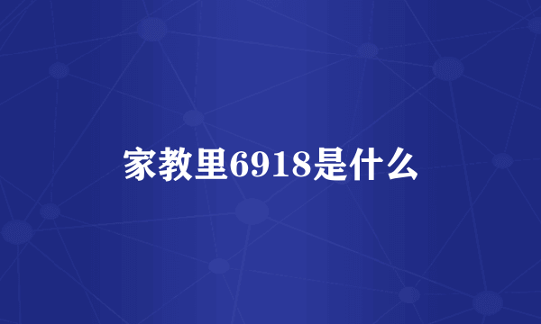 家教里6918是什么