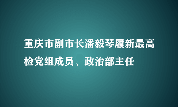 重庆市副市长潘毅琴履新最高检党组成员、政治部主任