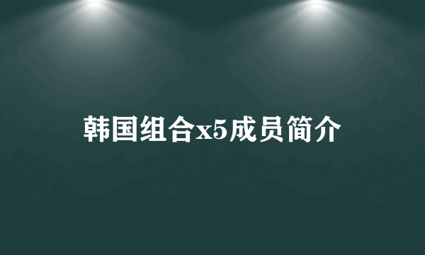 韩国组合x5成员简介