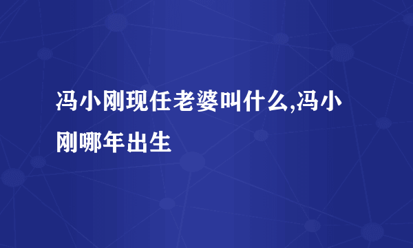 冯小刚现任老婆叫什么,冯小刚哪年出生