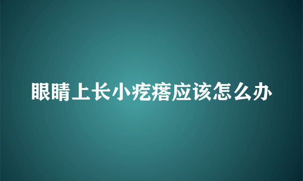 眼睛上长小疙瘩应该怎么办