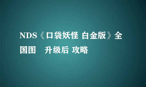 NDS《口袋妖怪 白金版》全国图鑑升级后 攻略