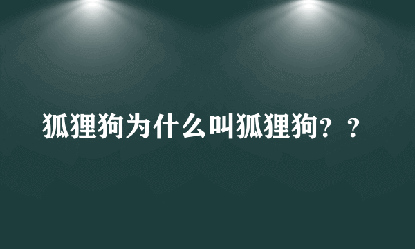 狐狸狗为什么叫狐狸狗？？