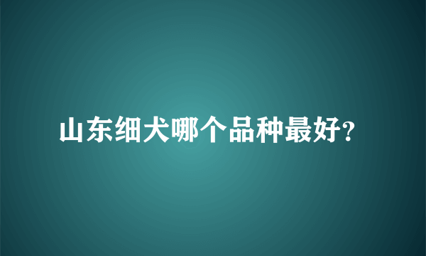 山东细犬哪个品种最好？