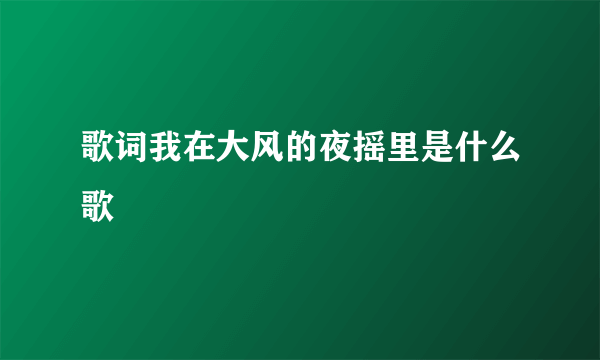 歌词我在大风的夜摇里是什么歌