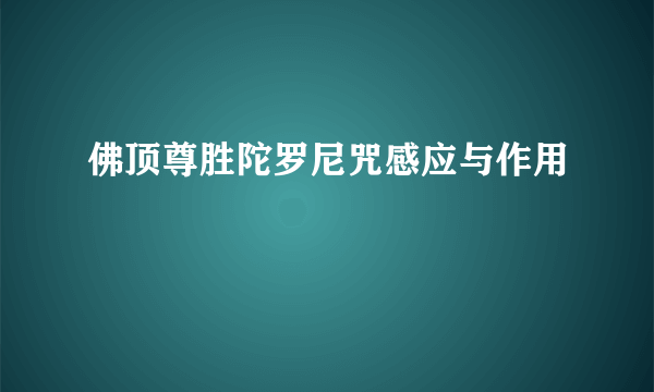 佛顶尊胜陀罗尼咒感应与作用