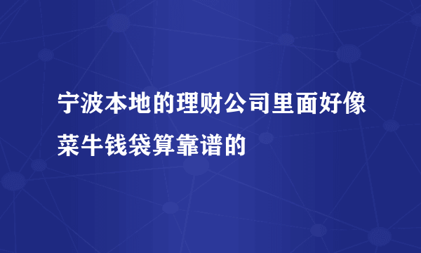 宁波本地的理财公司里面好像菜牛钱袋算靠谱的