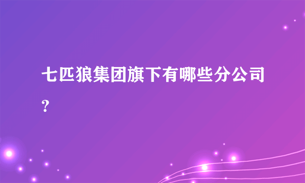 七匹狼集团旗下有哪些分公司？