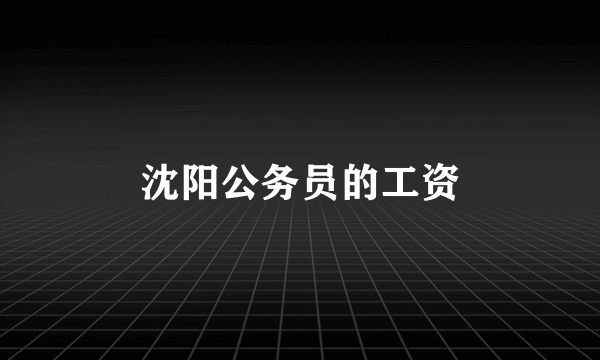 沈阳公务员的工资